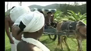 Kuten Negras da senzala