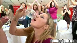 Dancingcock Piroca Grande Comemoração